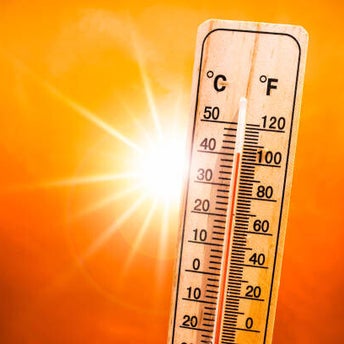 TEMP TEMP